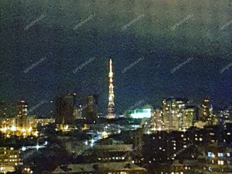 трёхкомнатная квартира на улице Бориса Панина дом 7в