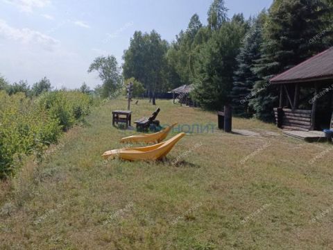 selo-selskaya-maza-lyskovskiy-municipalnyy-okrug фото