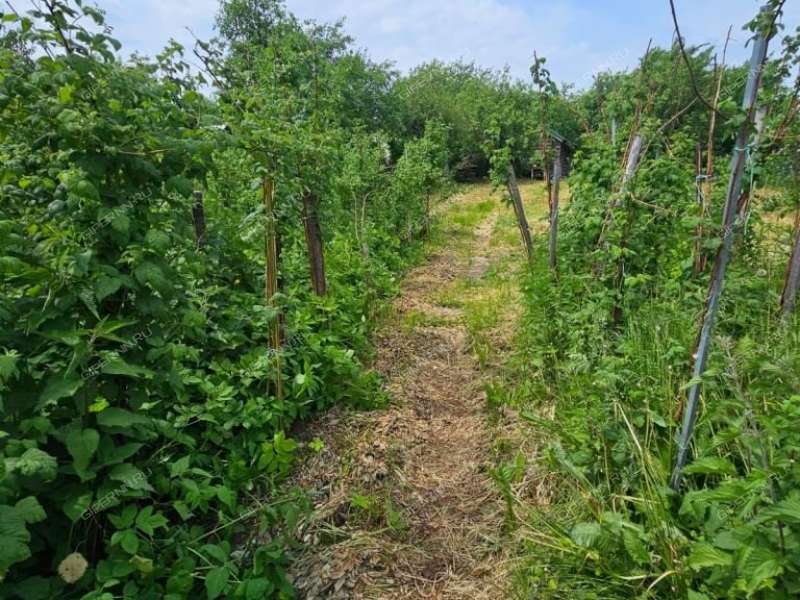 дом на Центральной улице село Доскино