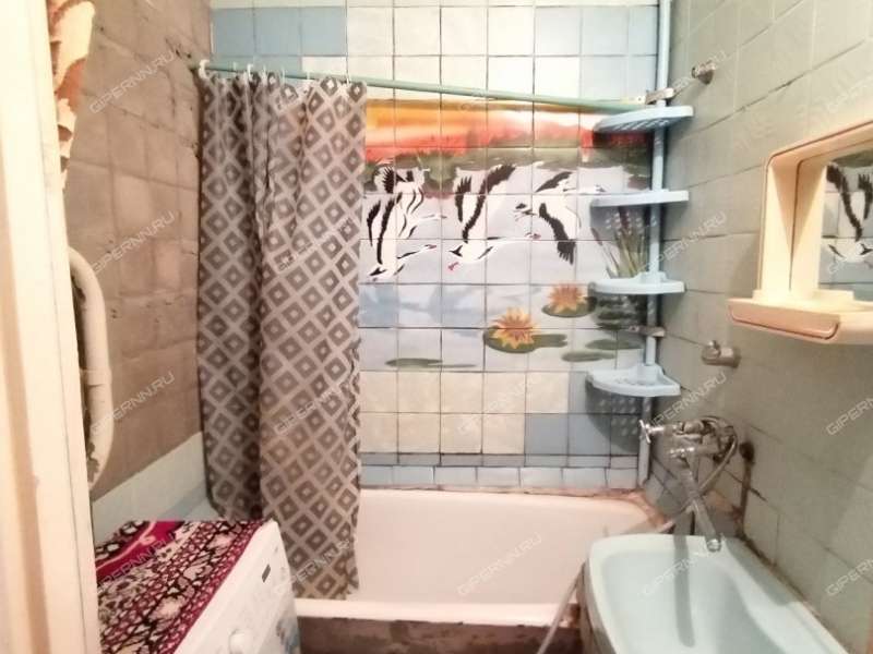 трёхкомнатная квартира на улице Германа Лопатина дом 5