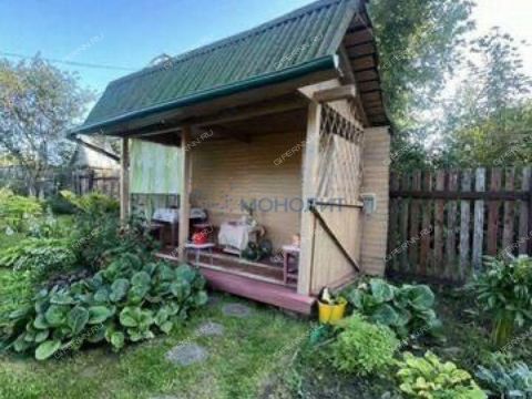 dacha-sadovodcheskoe-nekommercheskoe-tovarishhestvo-romashka-bogorodskiy-municipalnyy-okrug фото