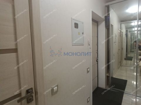 1-komnatnaya-derevnya-afonino-kstovskiy-rayon фото