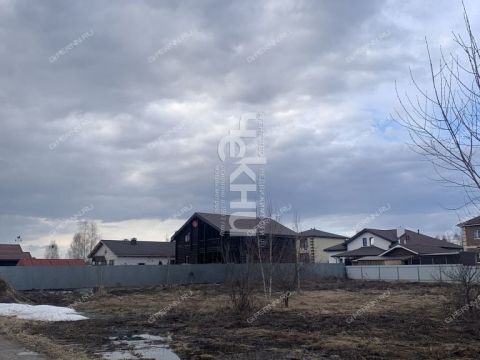dnp-vozrozhdenie-gorodskoy-okrug-bor фото