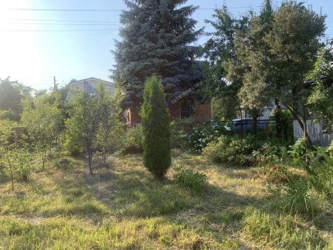 dacha-derevnya-rekshino-gorodskoy-okrug-bor фото