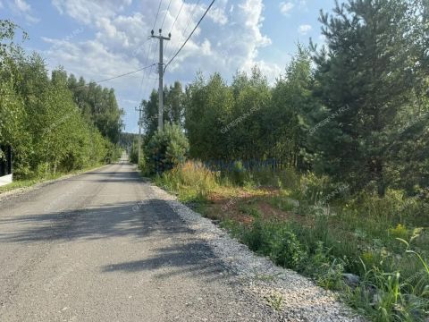 dp-cheshskie-sady-derevnya-nepecino-ter-bogorodskiy-municipalnyy-okrug фото