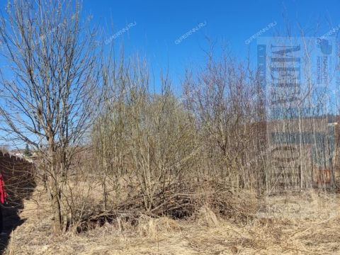 derevnya-shumilovo-bogorodskiy-municipalnyy-okrug фото