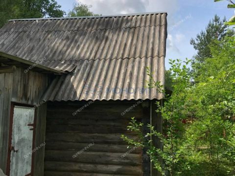 derevnya-orinkino-bogorodskiy-municipalnyy-okrug фото