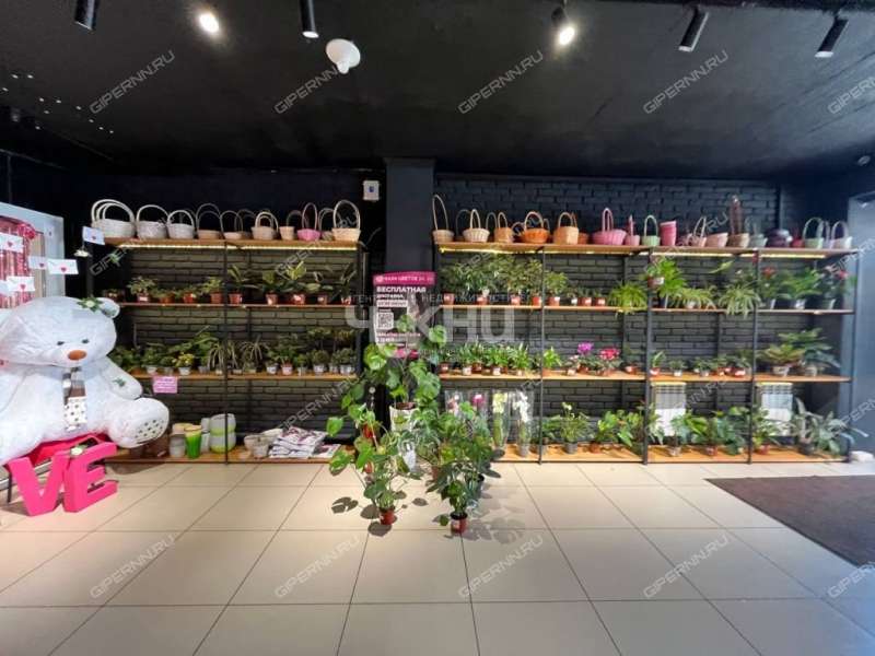 помещение под торговую площадь на Бархатной улице