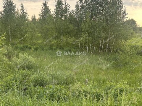 sherstnevo-gorodskoy-okrug-bor фото