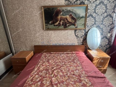 2-komnatnaya-ul-5-ya-ozernaya-d-3 фото