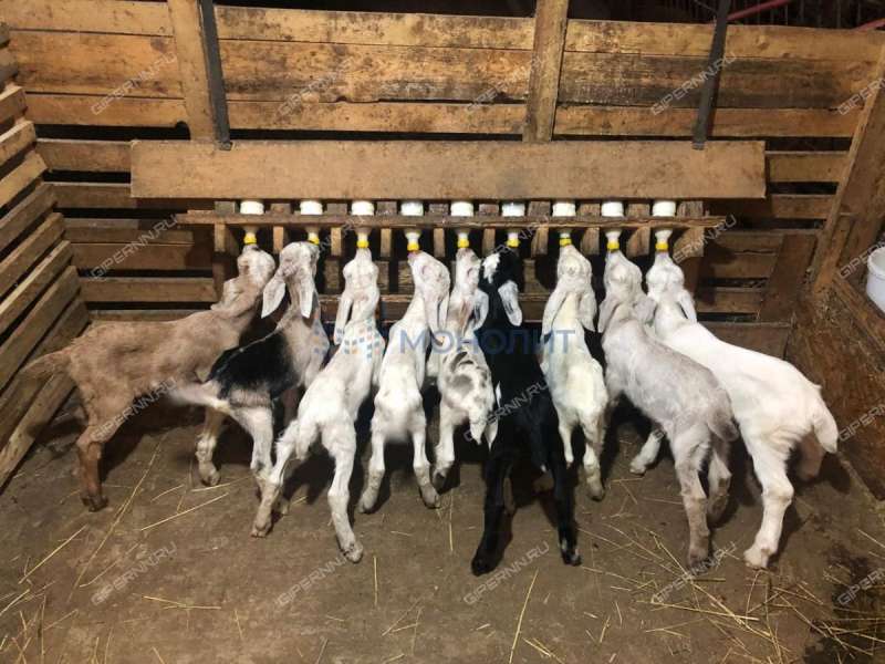 земельный участок под сельхоз назначение в Кстовском районе Нижегородской области