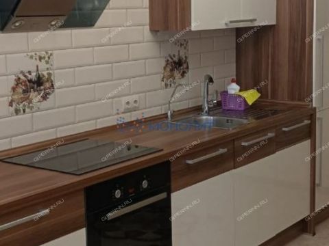 2-komnatnaya-ul-novaya-d-8 фото