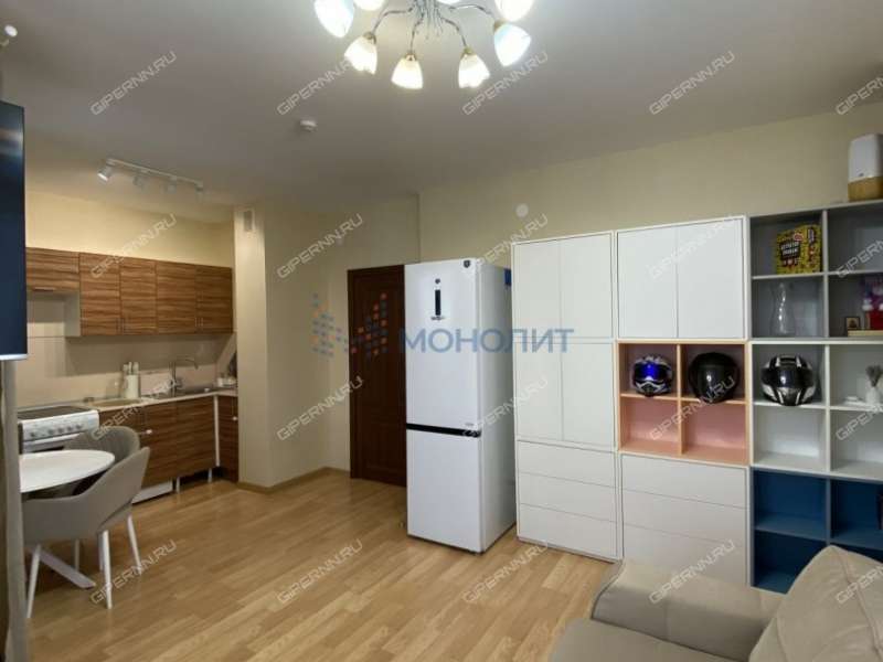 однокомнатная квартира на Русской улице улице дом 5 деревня Анкудиновка