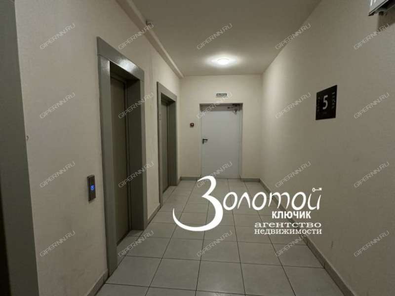 однокомнатная квартира на Русской улице улице дом 15 деревня Анкудиновка