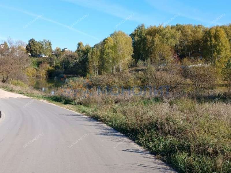 земельный участок 10 соток Новосибирская улица деревня Гремячки