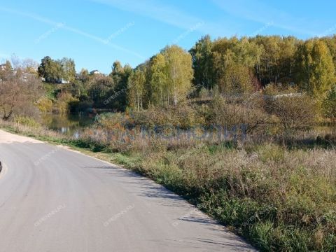 derevnya-gremyachki-bogorodskiy-municipalnyy-okrug фото
