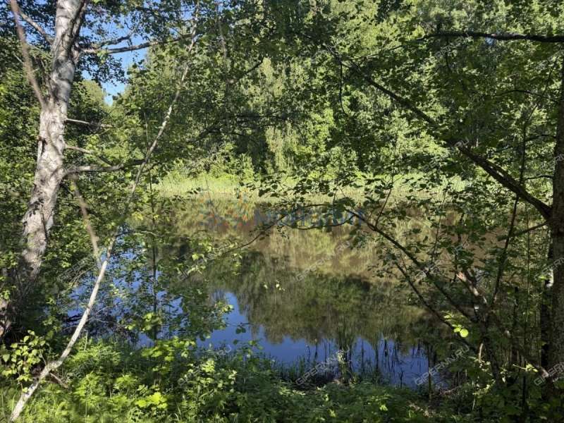 земельный участок под сельхоз назначение в Лысковском районе Нижегородской области