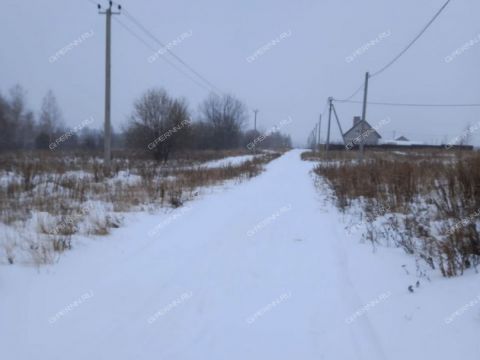 derevnya-burcevo-bogorodskiy-municipalnyy-okrug фото