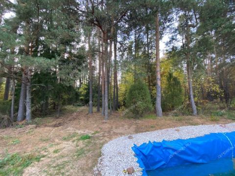 dom-derevnya-malyy-suhodol-gorodeckiy-rayon фото