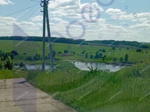 selo-kishkino-bolshemurashkinskiy-rayon фото