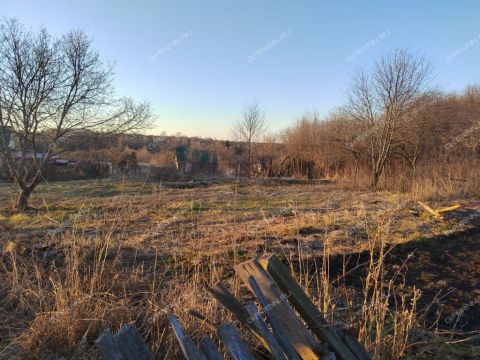 selo-borisovo-pole-vadskiy-municipalnyy-okrug фото