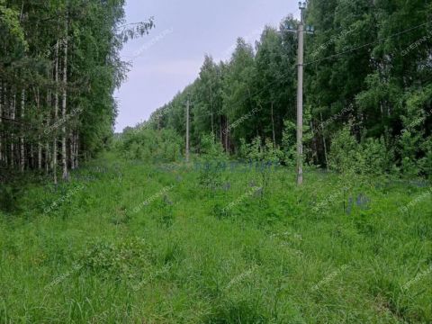 derevnya-filino-sokolskiy-gorodskoy-okrug фото