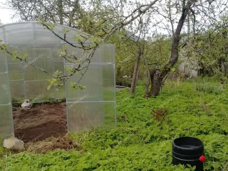 земельный участок 6,5 сотки куст 7 линия 13 СНТ Окское