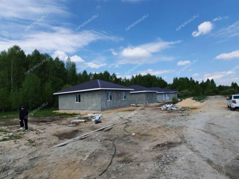 дом на Героя Демина ул. деревня Пруды