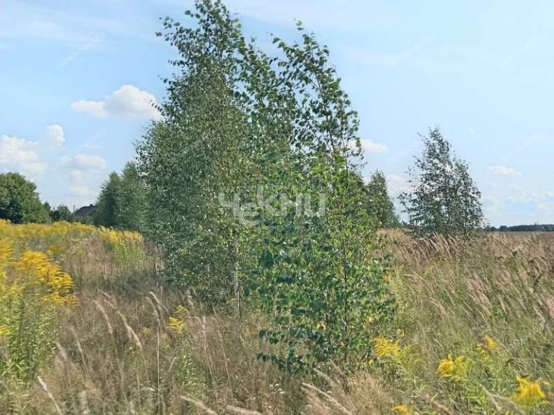 земельный участок 20 соток деревня Гришманово