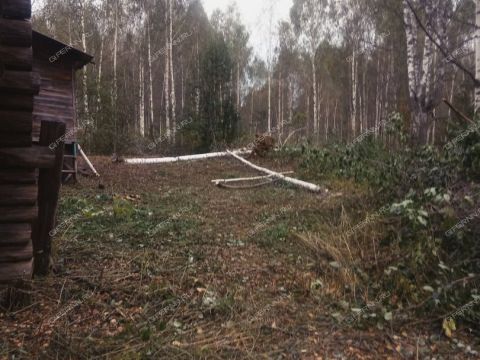 dom-derevnya-tyurino-sokolskiy-gorodskoy-okrug фото