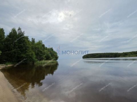 derevnya-filino-sokolskiy-gorodskoy-okrug фото