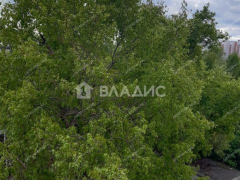 1-komnatnaya-ul-vitebskaya-d-1 фото