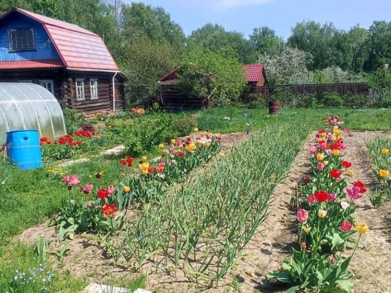 дача на Теплая гора сад