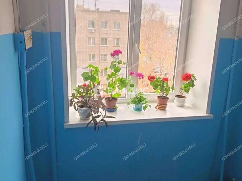 трёхкомнатная квартира на Дворовой улице дом 27