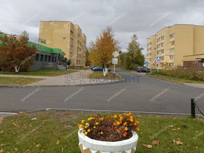 трёхкомнатная квартира на Танковой улице дом 20 посёлок Новосмолинский