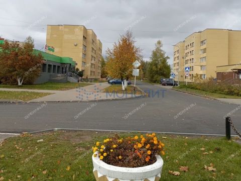 3-komnatnaya-poselok-novosmolinskiy-volodarskiy-rayon фото