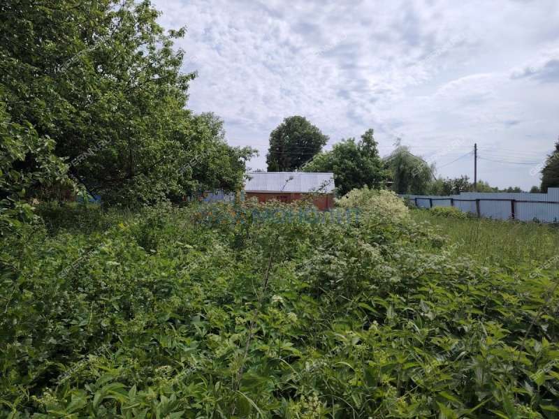 дом на улице Советская деревня Крутец (Алешковский сельсовет