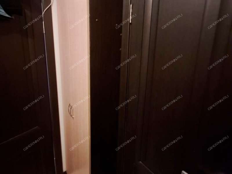 квартира-студия на Русской улице улице дом 1 деревня Анкудиновка