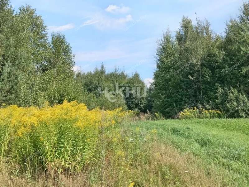 земельный участок 16 соток деревня Ковригино, Ковригинский сельсовет