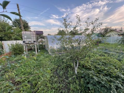 dacha-snt-nadezhda фото