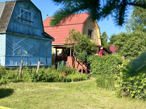 dacha-yubileynyy-ter-snt-gorodskoy-okrug-bor фото