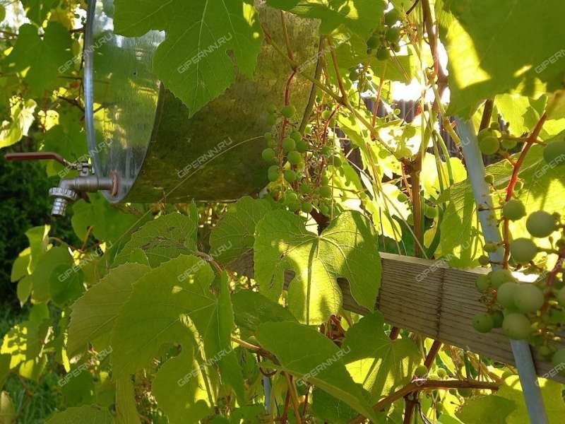 дом на Луговая КП Яблоньки на Троце