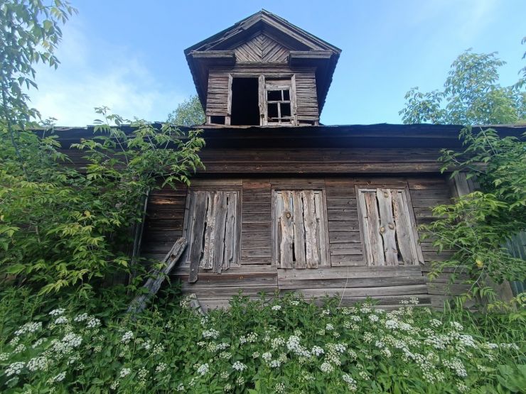 Фото: Валерия Ложкина / gipernn.ru