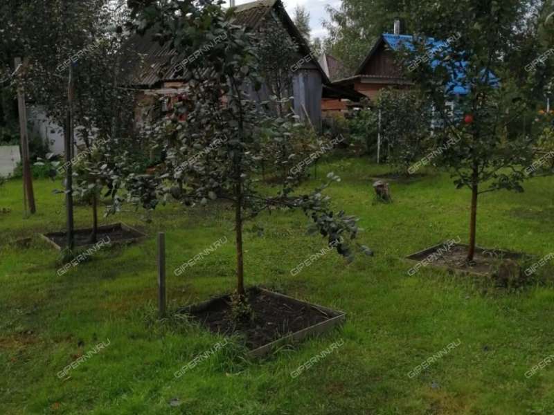 дача на улице Мира рабочий посёлок Большое Козино
