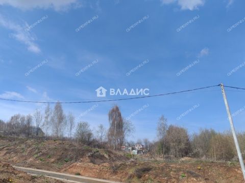 derevnya-afonino-kstovskiy-rayon фото