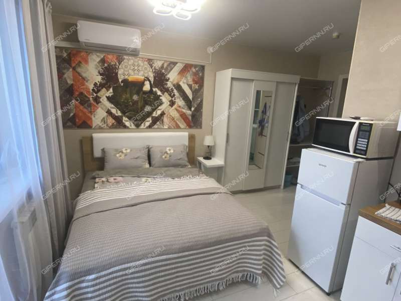 квартира-студия на Московском шоссе дом 167 к2