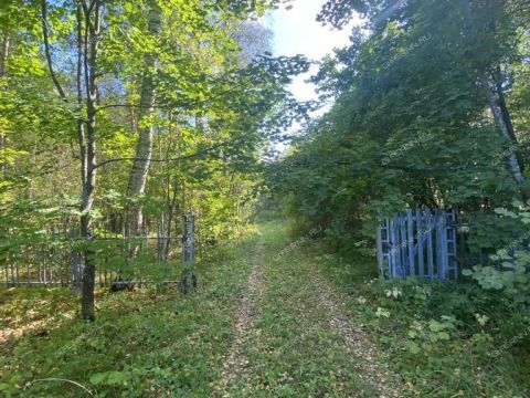 derevnya-kozhevennoe-bogorodskiy-municipalnyy-okrug фото