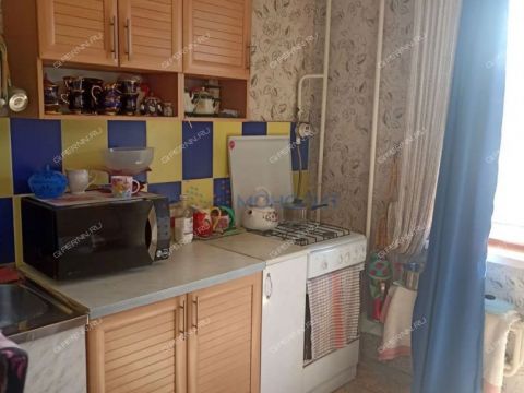 1-komnatnaya-rabochiy-poselok-gidrotorf-balahninskiy-municipalnyy-okrug фото