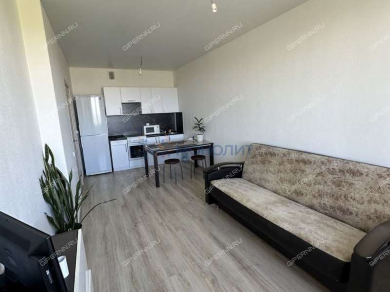 однокомнатная квартира на Русской улице улице дом 19 деревня Анкудиновка