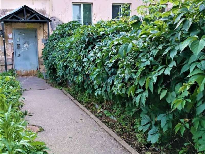 однокомнатная квартира на улице Радистов дом 7А